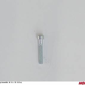 Zyl.innen6Kt. M 6 X 35 8.8 Vz. Horsch 00371050