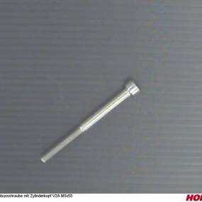 Inbusschraube mit Zylinderkopf V2A M5X55 Horsch 00371137