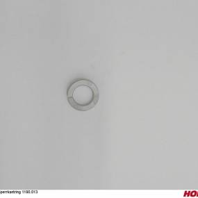 Sperrkantring 1190.013 Horsch 04004504