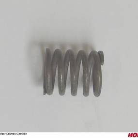 Feder Dromos Getriebe Horsch 04005242