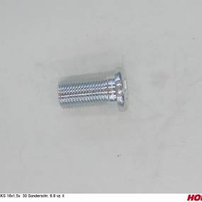 Zis 16X1,5X 30 Sonderschr. 8.8 Vz. Li Horsch 23010205