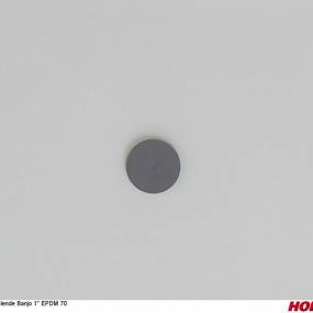 Blende Banjo 1'' Epdm 70 Schwarz Horsch 30021087