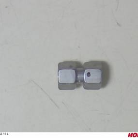 Gz 12 L Sad Horsch 00100342