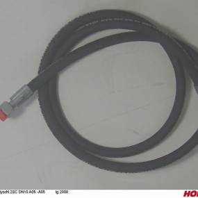 Hsdn10 2Sc Dkol12 Dkol12 2000 Horsch 00120216