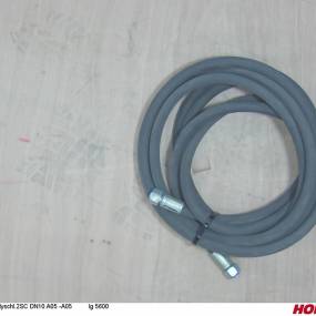 Hsdn10 2Sc Dkol12 Dkol12 5600 Horsch 00120394