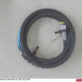 Hsdn08 2Sc Dkol12 Dkol12 1900 Horsch 00120647