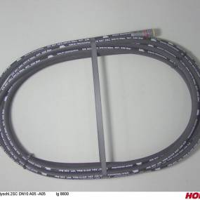 Hsdn10 2Sc Dkol12 Dkol12 8800 Horsch 00120689