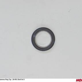 Gamma Ring Typ 29-Rb 30X47X4.5 Horsch 00240074
