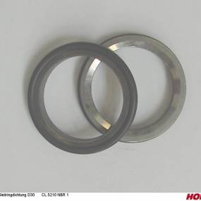 Gleitringdichtung D30 Nbr 1 Horsch 00270365