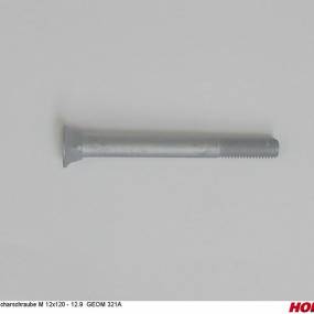 Scharschraube M 12X120 - 12.9 Geom 321A Horsch 00311359