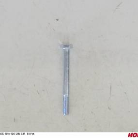 Sks 10 X 100 Din 931 8.8 Vz. Horsch 00360027