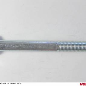 Sks 20 X 170 Din 931 8.8 Vz. Horsch 00360081