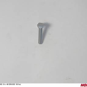 Sks 8 X 40 Din 933 8.8 Vz. Horsch 00360113