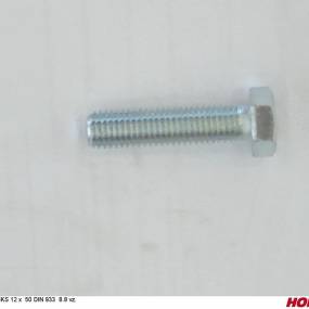 Sks 12 X 50 Din 933 8.8 Vz. Horsch 00360136