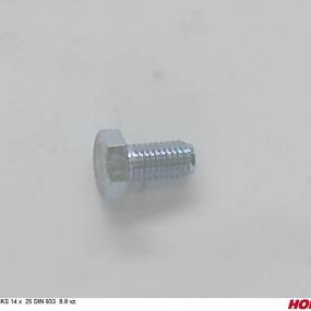 Sks 14 X 25 Din 933 8.8 Vz. (00360141) Horsch