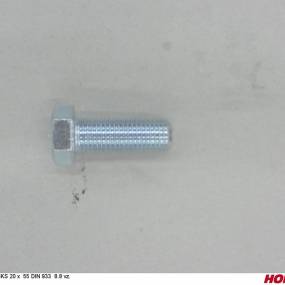 Sks 20 X 55 Din 933 8.8 Vz. Horsch 00360163