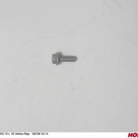 Sks 10 X 30 Verbus-Ripp Geom 321 A Horsch 00360410