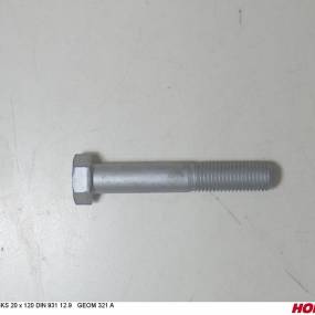 Sks 20 X 120 Din 931 12.9 Geom321A Horsch 00360489