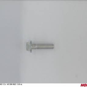 Sks 12 X 65 Din 6921 10.9 Vz. Horsch 00360805