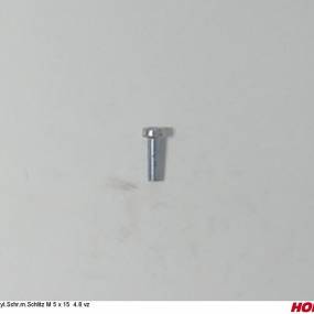 Zyl.schr.m.schlitz M 5 X 15 4.8 Vz Horsch 00370023
