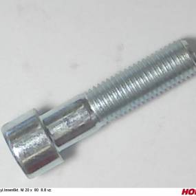 Zyl.innen6Kt. M 20 X 80 8.8 Vz. Horsch 00370384