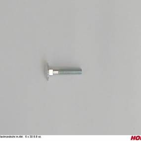 Flachrundschr.m.4Kt. 6 X 30 8.8 Vz. Horsch 00370439