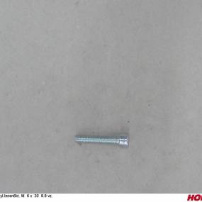 Zyl.innen6Kt. M 6 X 30 8.8 Vz. (00370443) Horsch