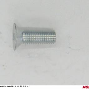 Sesmi 16 X 45 Din En Iso 10642 8.8 Vz. Horsch 00370505