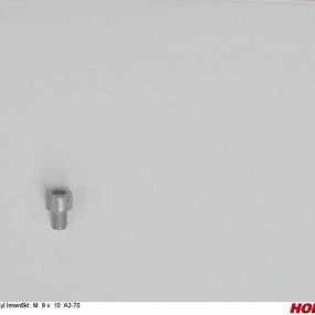 Zyl.innen6Kt. M 8 X 10 A2-70 Horsch 00370564