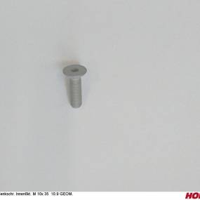 Sesmi 10 X 35 Din En Iso 10642 10.9 Zlü Horsch 00371060