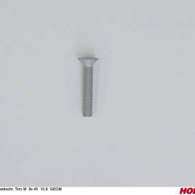 Sesmi 8 X 45 Din En Iso 10642 10.9 Zlü Horsch 00371116