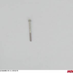 Zyl.innen6Kt. M 4 X 45 A2-70 Horsch 00371127