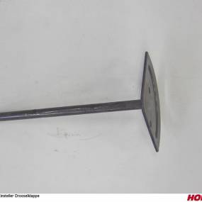 Einsteller Drosselklappe Horsch 00380864