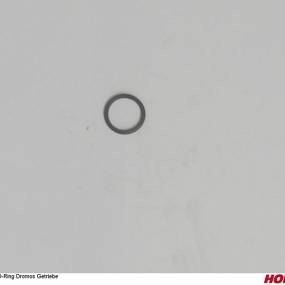 O-Ring Dromos Getriebe Horsch