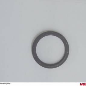 Íldichtungsring Horsch 04005786