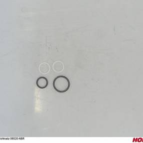 Dichtsatz 06020-Nbr Horsch 00111051