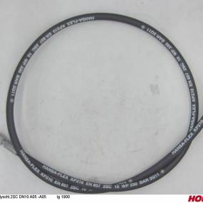 Hsdn10 2Sc Dkol12 Dkol12 1900 Horsch 00120213