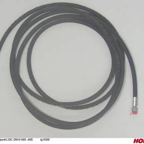 Hsdn10 2Sc Dkol12 Dkol12 6300 Horsch 00120376