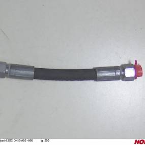 Hsdn10 2Sc Dkol12 Dkol12 200 Horsch 00120820