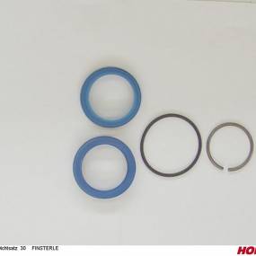 Dichtsatz  30    Finsterle Horsch 00130036