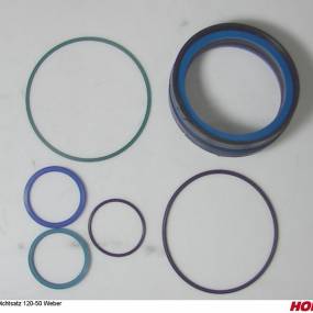 Dichtsatz 120-50 Weber Horsch 00130724