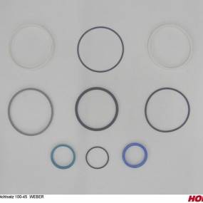 Dichtsatz 100-45 Weber Horsch 00131078