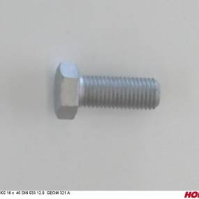 Sks 16 X 40 Din 933 12.9 Geom321A (00360058) Horsch