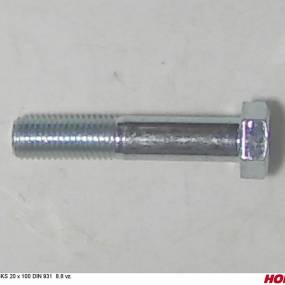 Sks 20 X 100 Din 931 8.8 Vz. Horsch 00360074