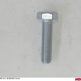 Sks 10 X 40 Din 933 8.8 Vz. Horsch 00360122