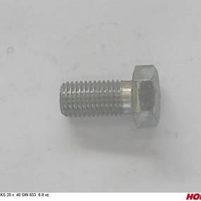 Sks 20 X 40 Din 933 8.8 Vz. Horsch 00360157