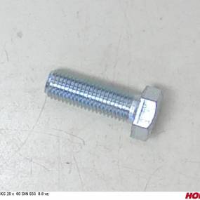Sks 20 X 60 Din 933 8.8 Vz. Horsch 00360159