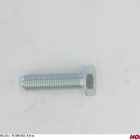 Sks 20 X 70 Din 933 8.8 Vz. Horsch 00360160