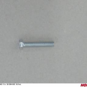 Sks 5 X 30 Din 933 8.8 Vz. Horsch 00360183
