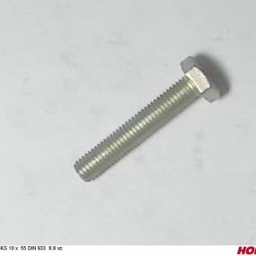 Sks 10 X 55 Din 933 8.8 Vz. Horsch 00360238